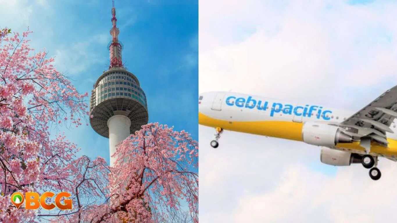 香港国际机场的国际航班出行场景