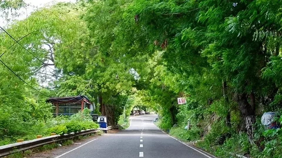 比较表：不同学习者的选区重点