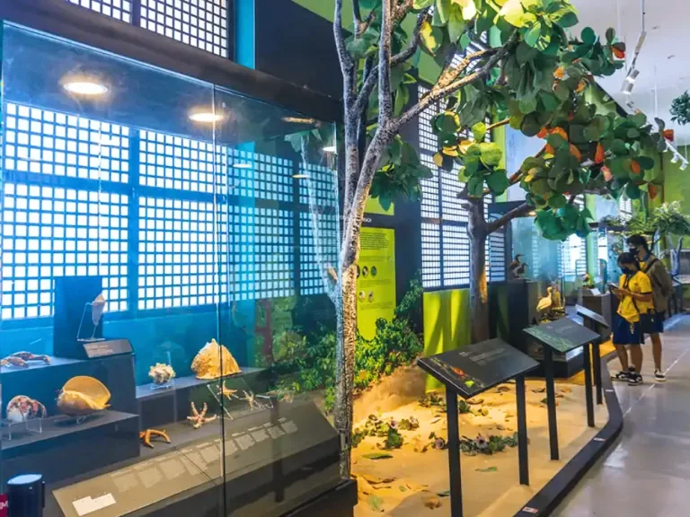 Mactan World Museum与National Museum Cebu相关实景（4）
