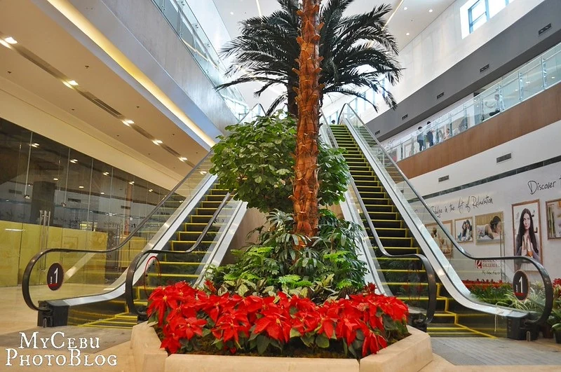 Robinsons Galleria Cebu楼层与扶梯