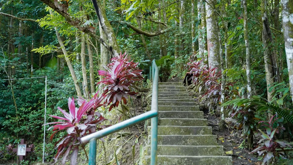 Bandilaan国家公园林间步道