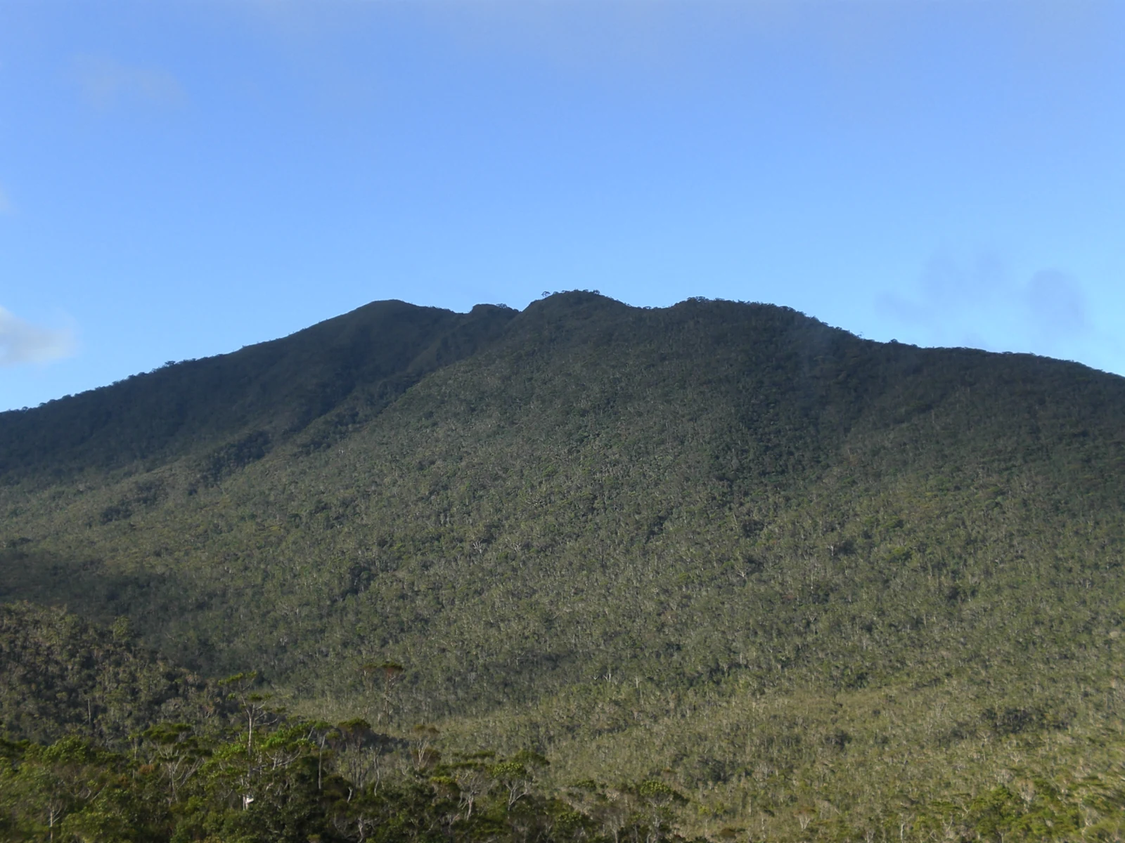 哈米吉坦山山顶与植被