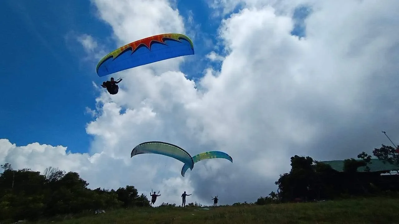 Oslob Cebu Paragliding公布的滑翔伞飞行场景