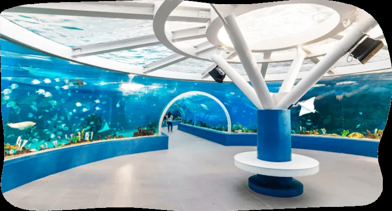 Cebu Ocean Park的海底隧道，可近距离观察大型水族展示