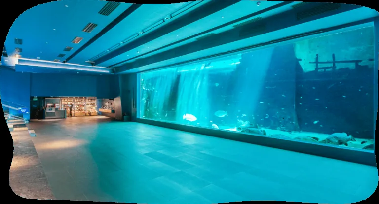 Cebu Ocean Park的室内水族展示,是安排室内活动时可了解的场景