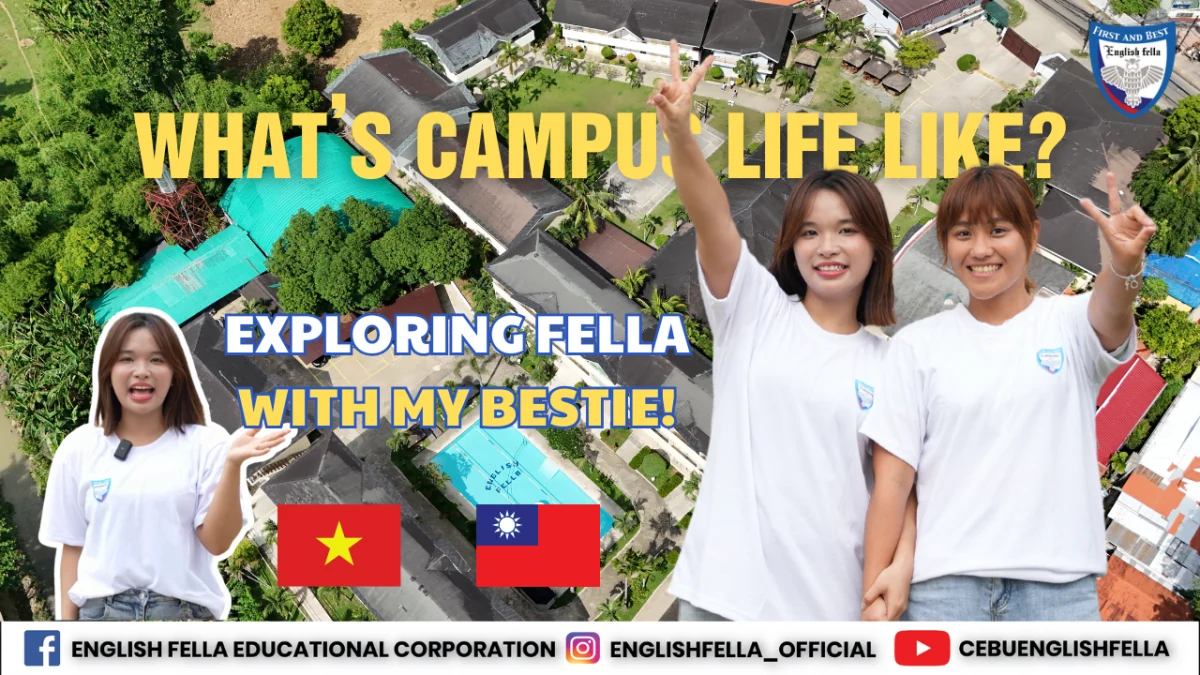 区分寄居者变迁经历与机构经历：english-fella相关图片