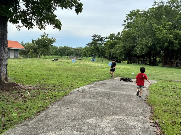 孩子可以自己去ELSA留学吗?个人参与课程和日常生活支持:学校相关图片