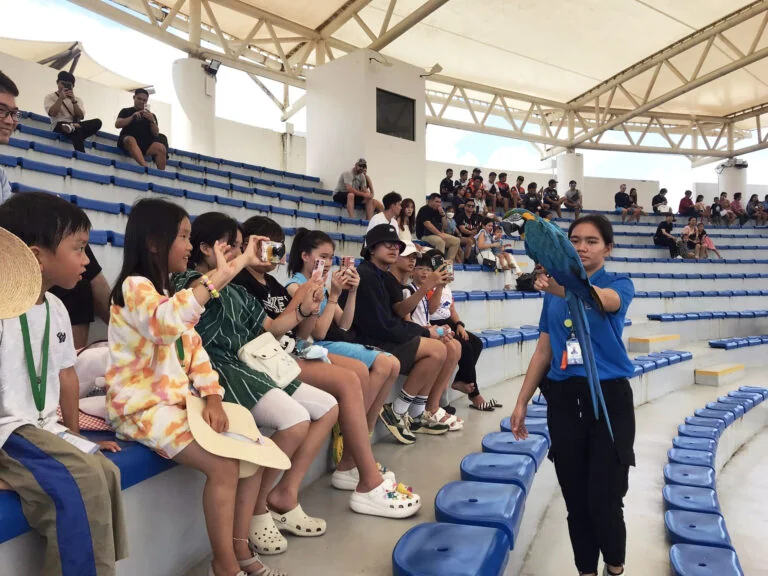 Joyful Education与参考资料相关的菲律宾校内实景