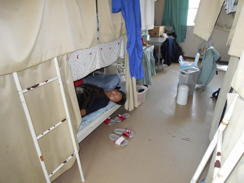 带隐私帘、书桌和个人收纳的学生双层床宿舍