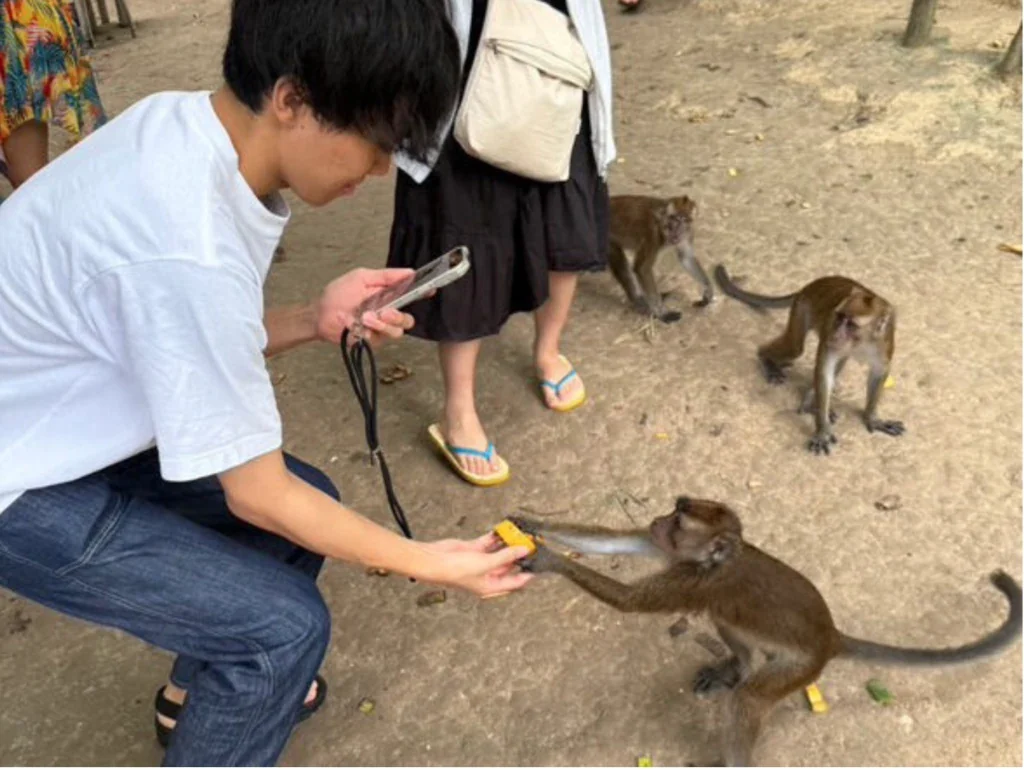 如何在好奇世界学院Mabolo学校的课堂上使用城市英语