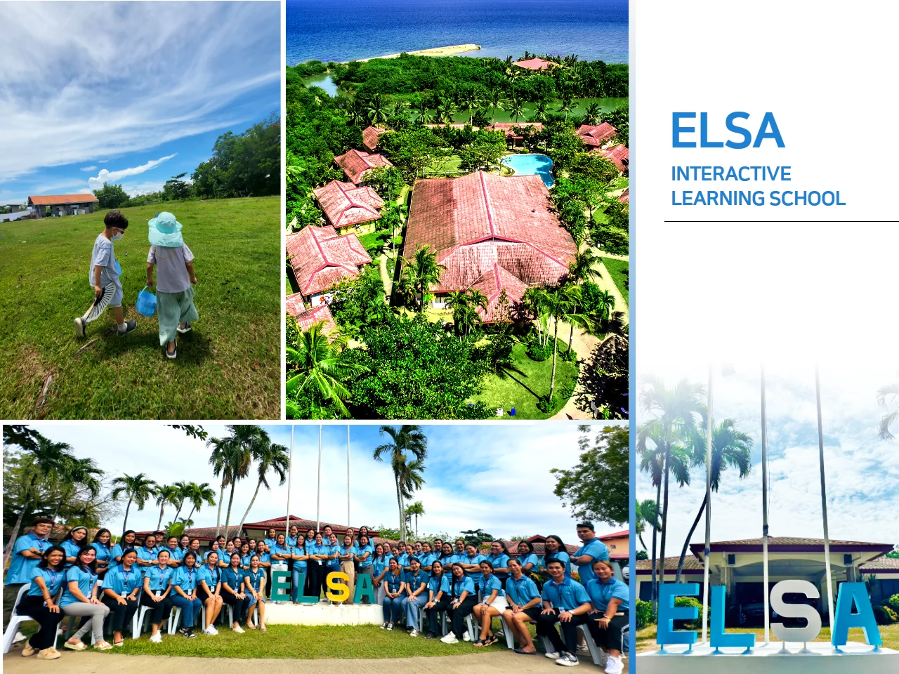 在 ELSA 郊区购物需要多少钱?如何批量购买