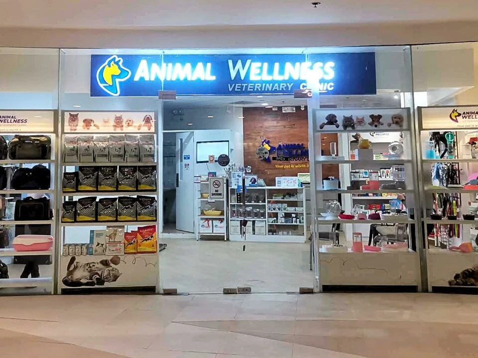 菲律宾宿务与“Animal Wellness要核对所在楼层后再预约”相关的场景