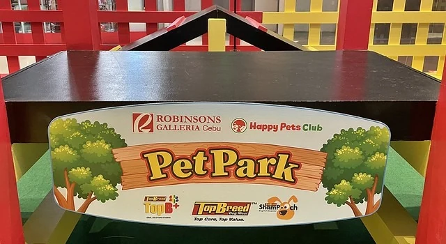 菲律宾宿务与“室内Pet Park开设时的样子与使用条件”相关的场景
