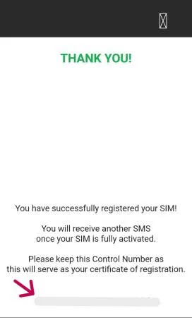 SmartのSIM登録画面（2023年撮影）