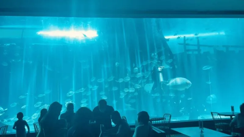 ２.Cebu Ocean Park