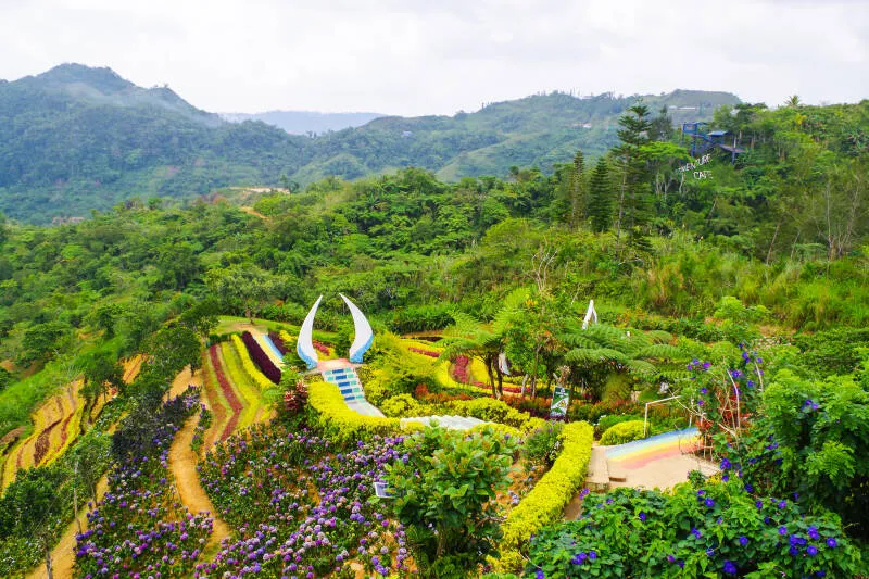高台から見渡す景色も絶景