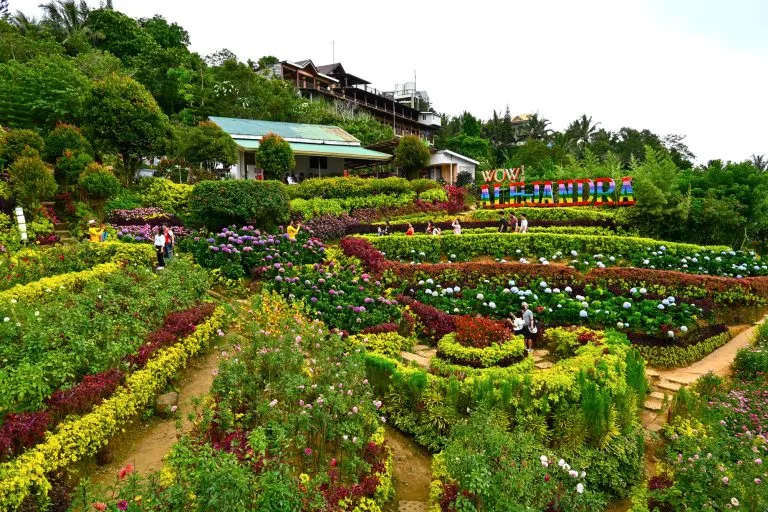 セブ市郊外のBuwakan ni Alejandra Gaasの花園と斜面の散策