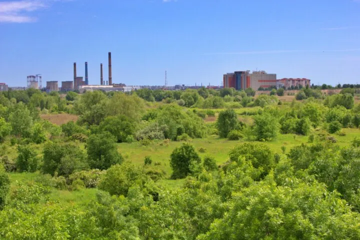 セブ・マンダウエのAgri-Eco Parkは開園した？Mantlewood向かいの整備状況を紹介する